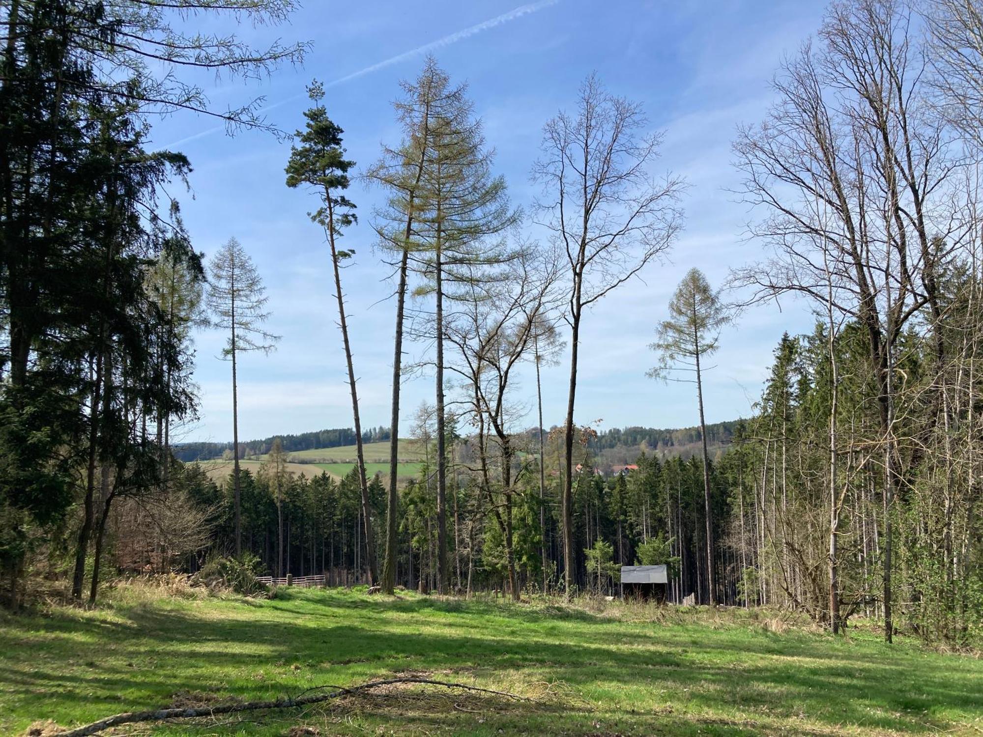 Stodola 63 Villa Pacov Екстериор снимка